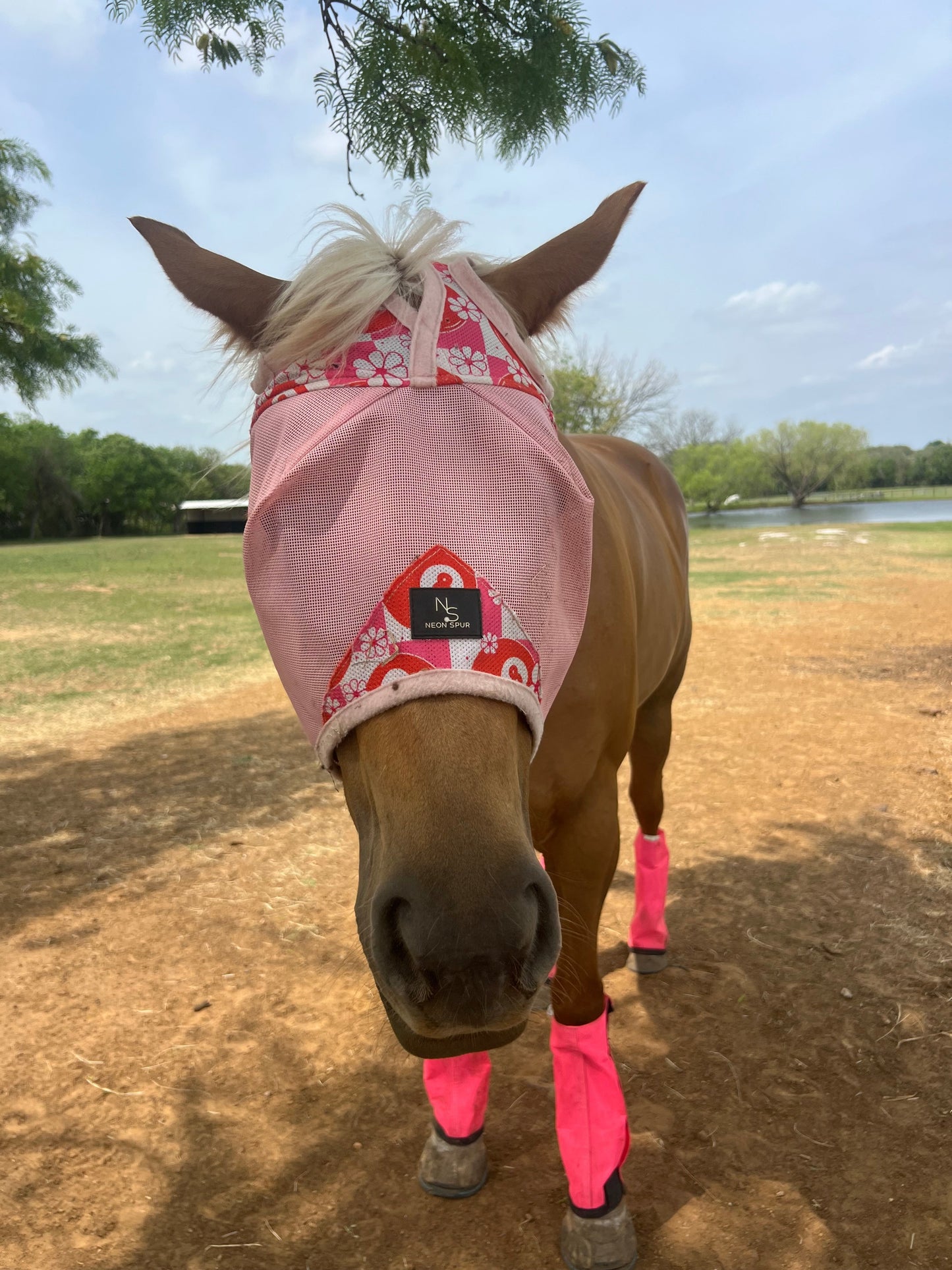 Daisy 8 Horse Fly Mask -Pink Mesh