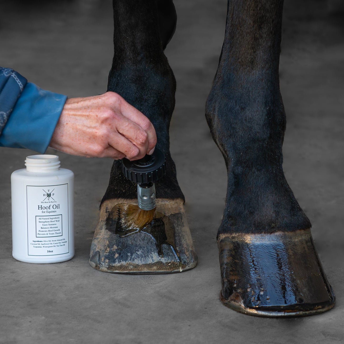 Hoof Oil for Horses