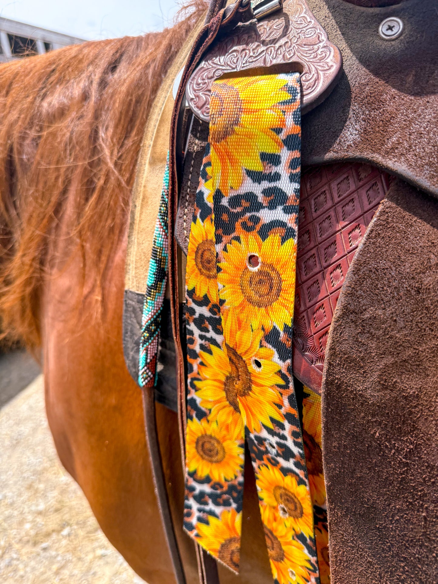 Sunflower on Leopard Cinch Strap Set