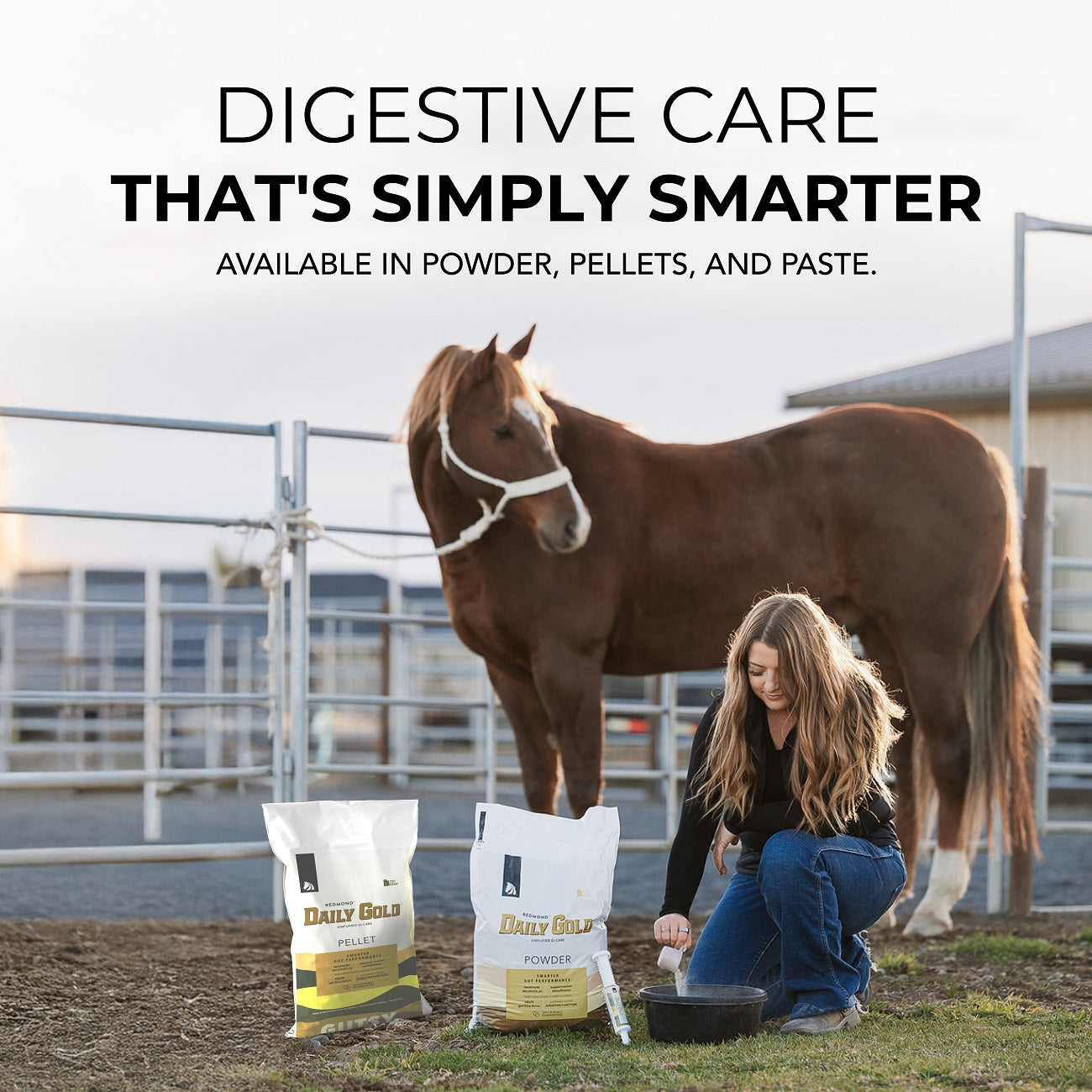 Daily Gold® Paste - Digestive Stress Relief for Horses