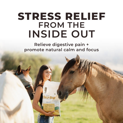 Daily Gold® - Horse Gut Supplements