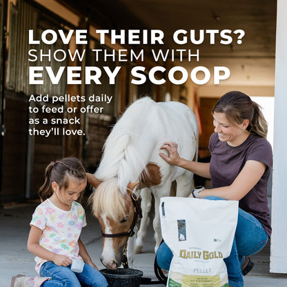 Daily Gold® - Horse Gut Supplements