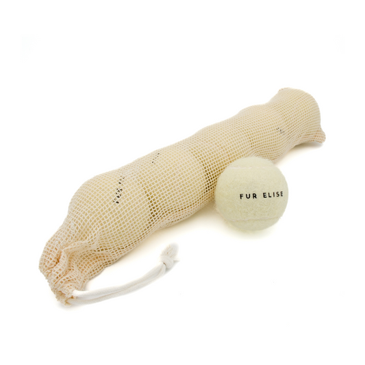 Classic Tennis Ball Set of 5 - Bone