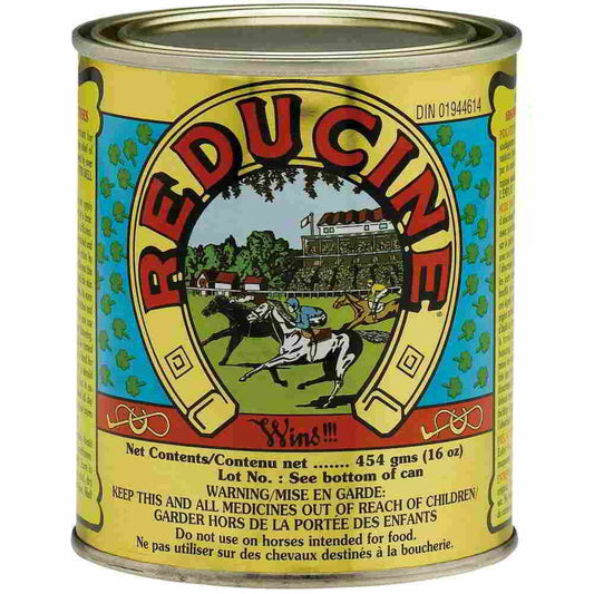Reducine Absorbent F/Horses 16Oz