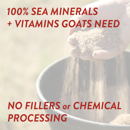 Goat Mineral