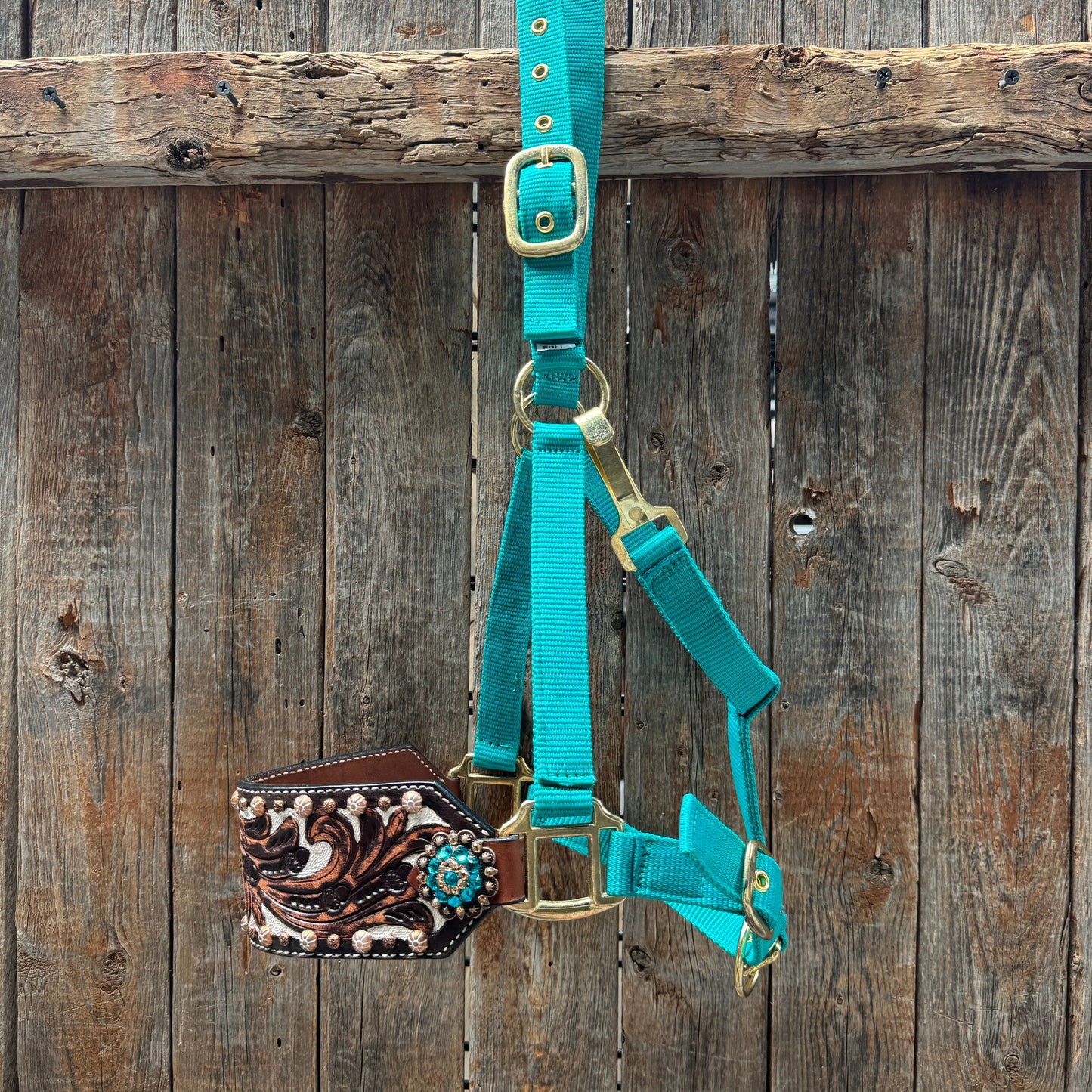 Teal Nylon Horse Halter – Bronc Noseband with Crystal Conchos NH105