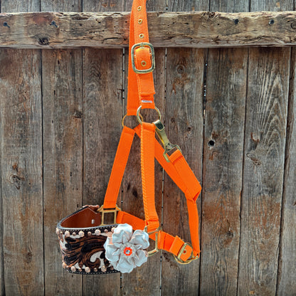 Orange Nylon Horse Halter – Bronc Noseband with Crystal Conchos NH111