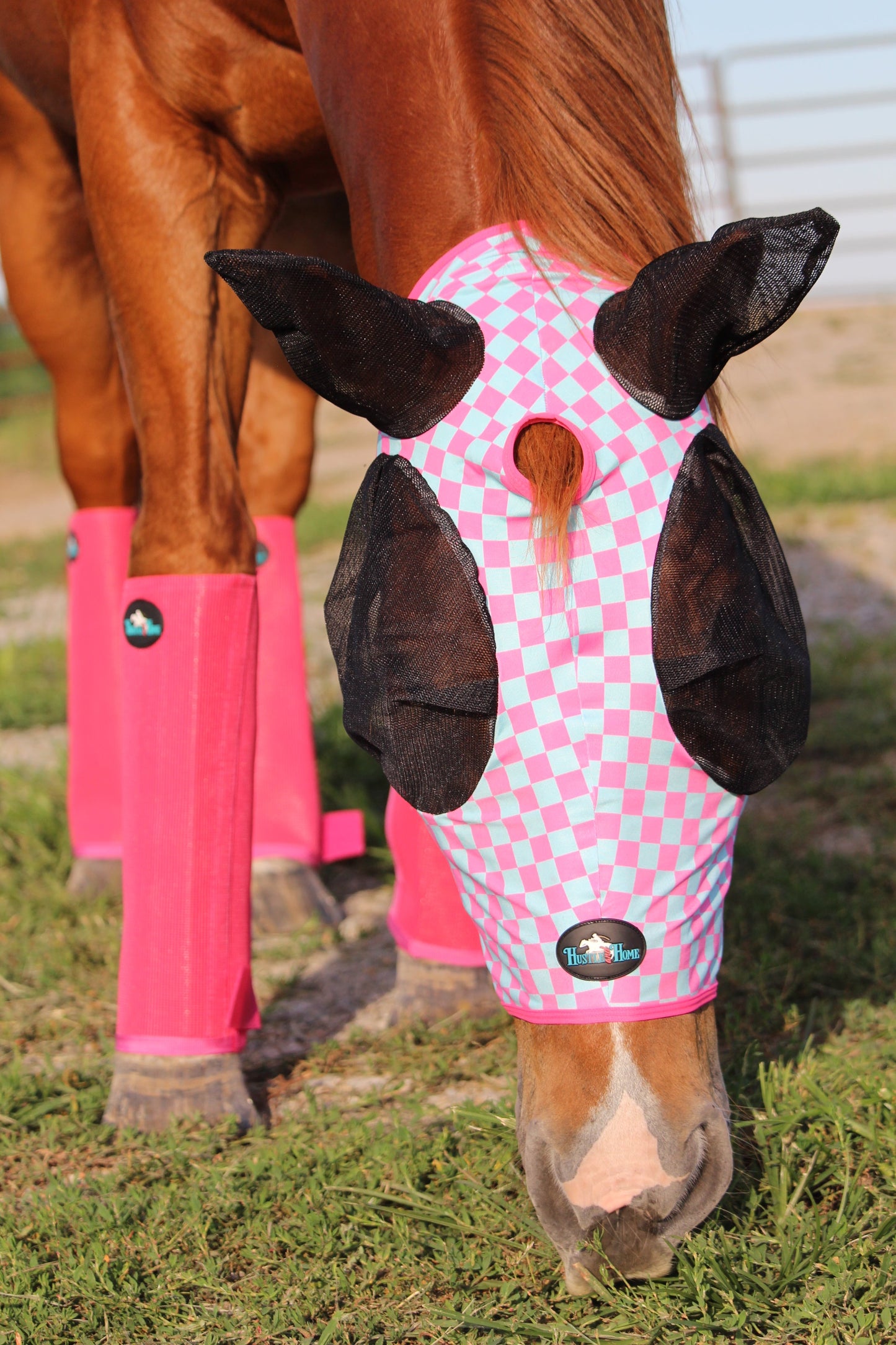 Checks Out (Pink/Turquoise) Fly Mask