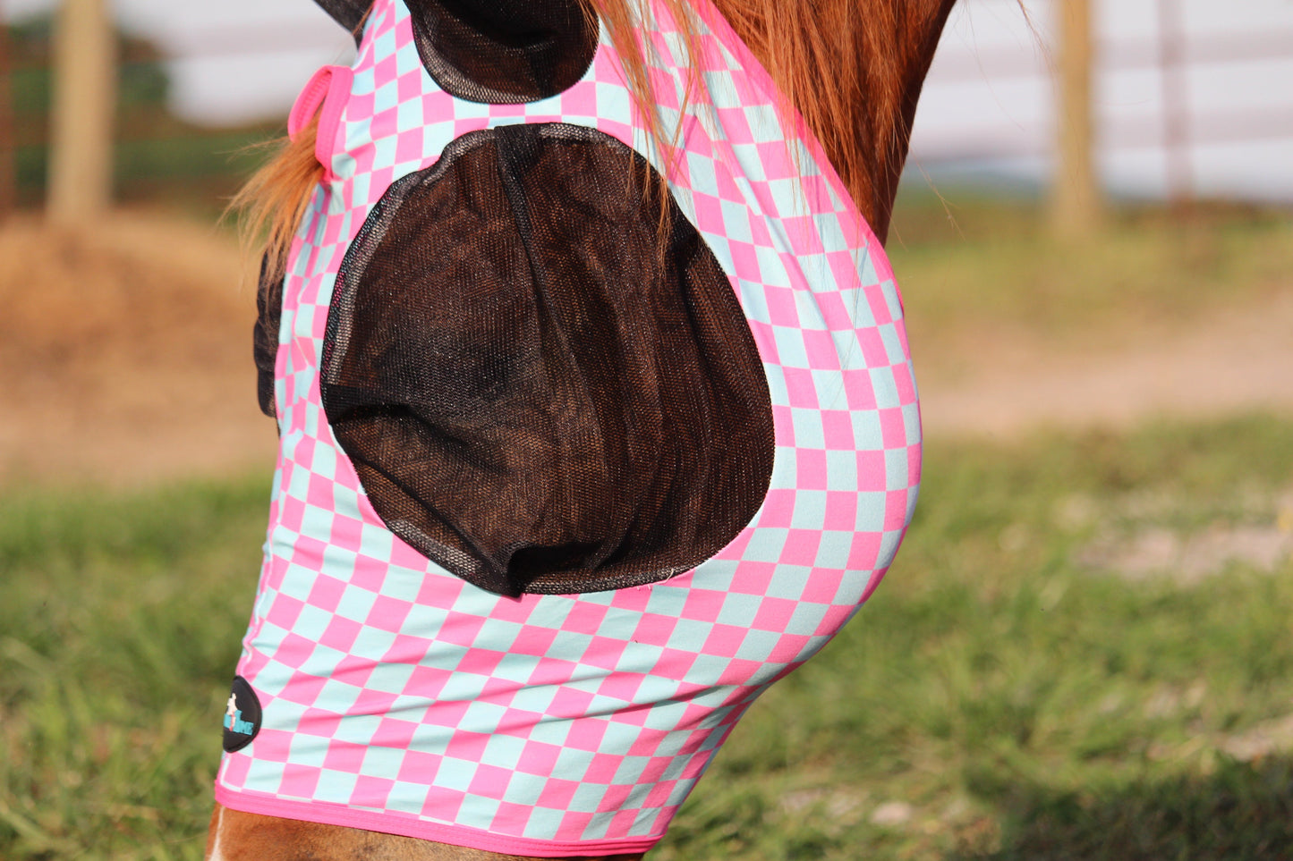 Checks Out (Pink/Turquoise) Fly Mask