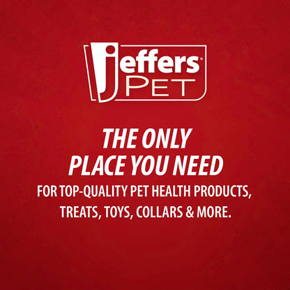 Jeffers Red Seahorse Natural Rubber Dog Chew Toy with Vanilla Scent and Textured Ridges for Dental Health