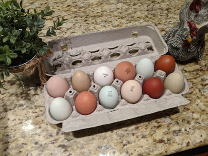 Rainbow Egg Assortment – Buy 10 + 5 Bonus Free (15 All-Female, Shipping Included)
