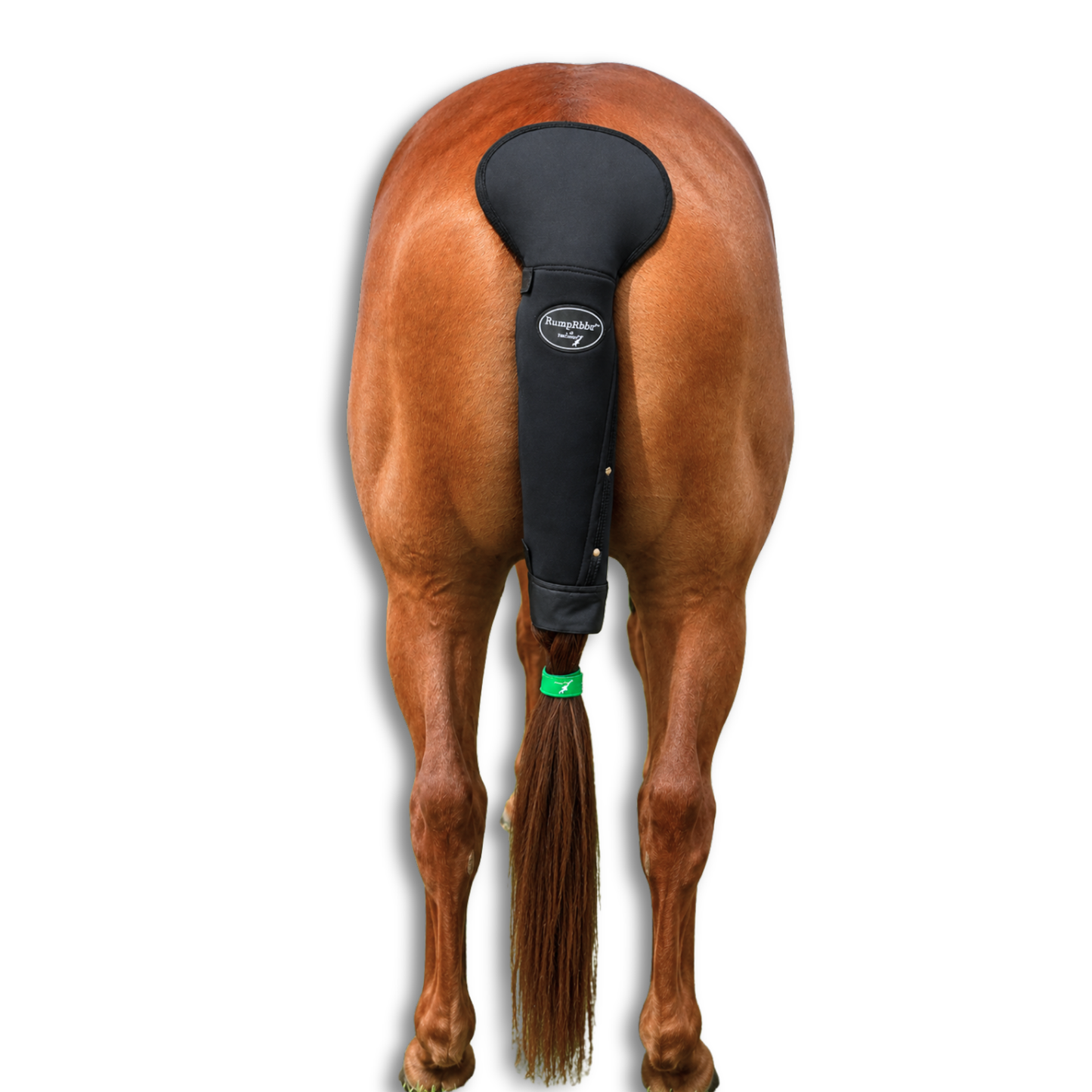 RumpRbbr™ Tail Guard