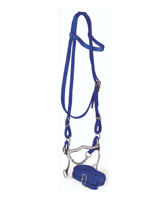 BRIDLE SET, HORSE SIZE, BLUE