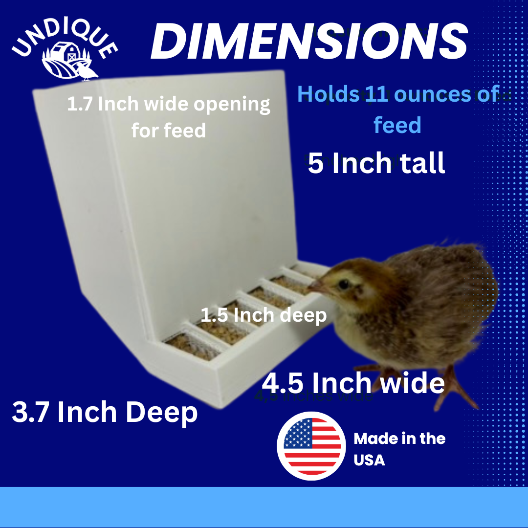 Button Quail Feeders (2), Adjustable Spill-Resistant Design Made in USA