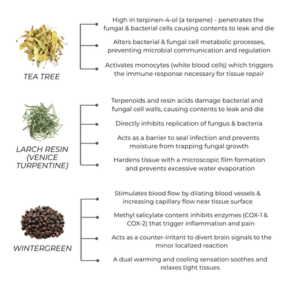 Hoof Oil for Horses