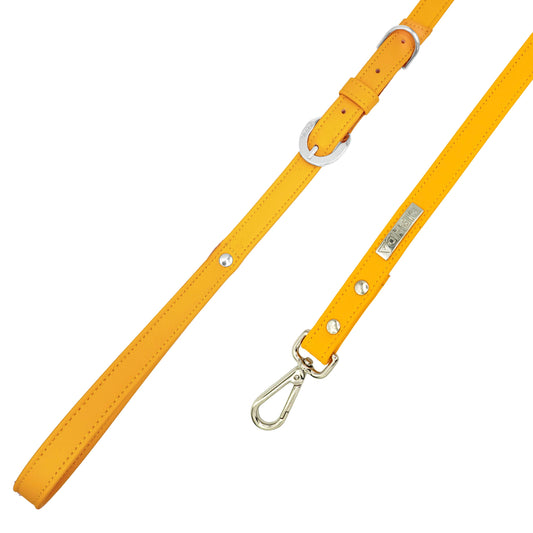 Sunflower Cactus Leash