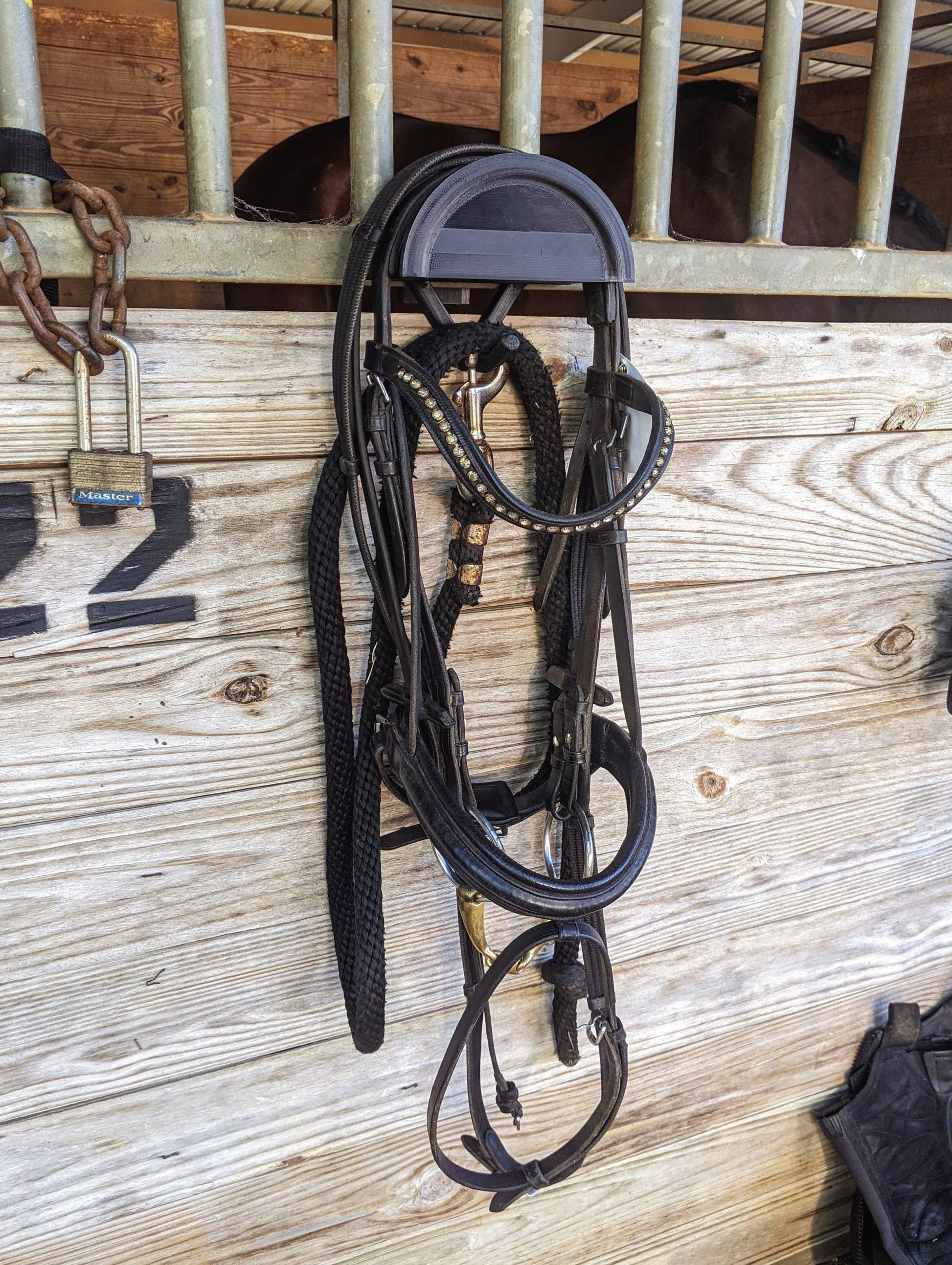 Horse bridle hanging on a wooden stable door