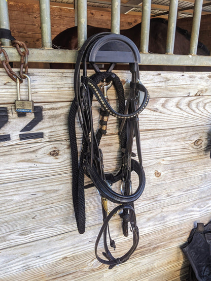 Horse bridle hanging on a wooden stable door