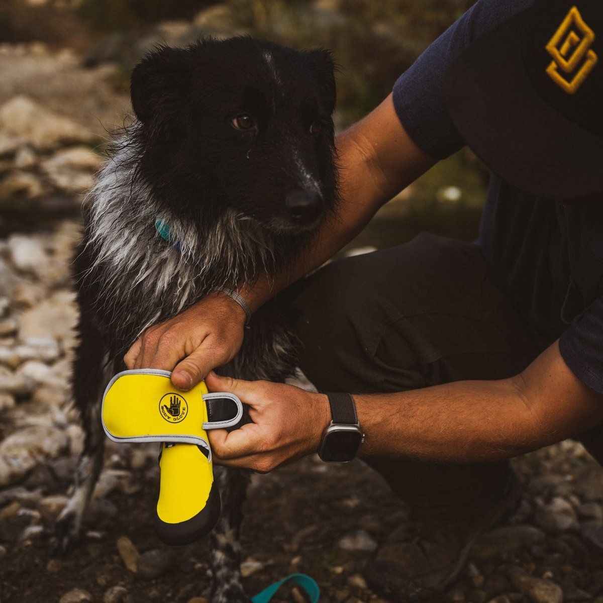Body Glove Paw Protector Booties