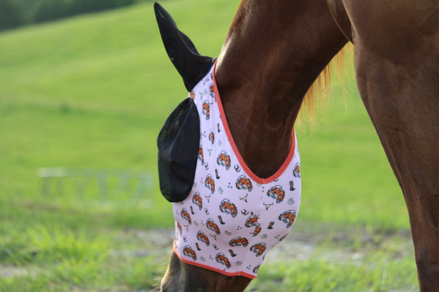 Buckin’ Wild Fly Mask