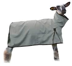 SHEEP COOL MESH GREY MED