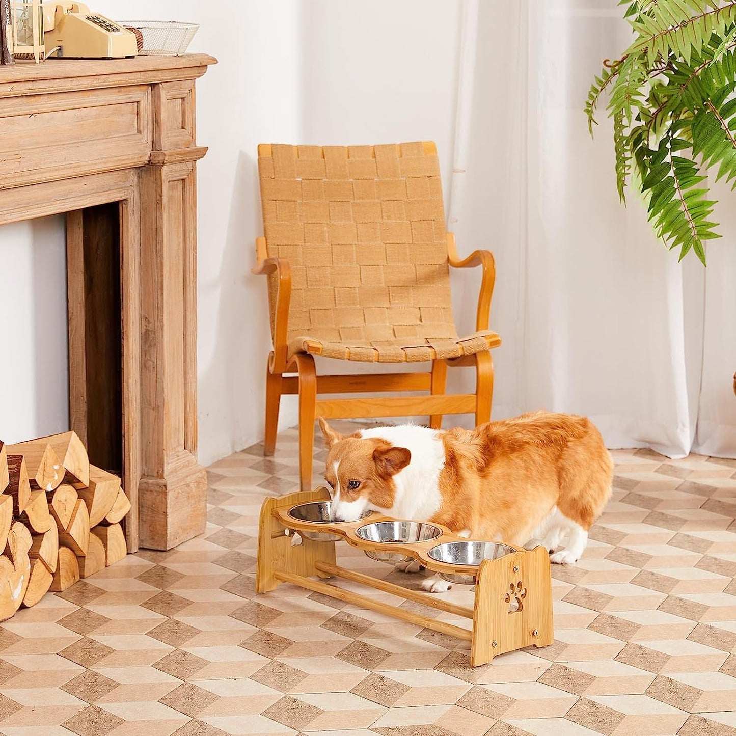 Elevated Dog Bowls for Cats and Dogs