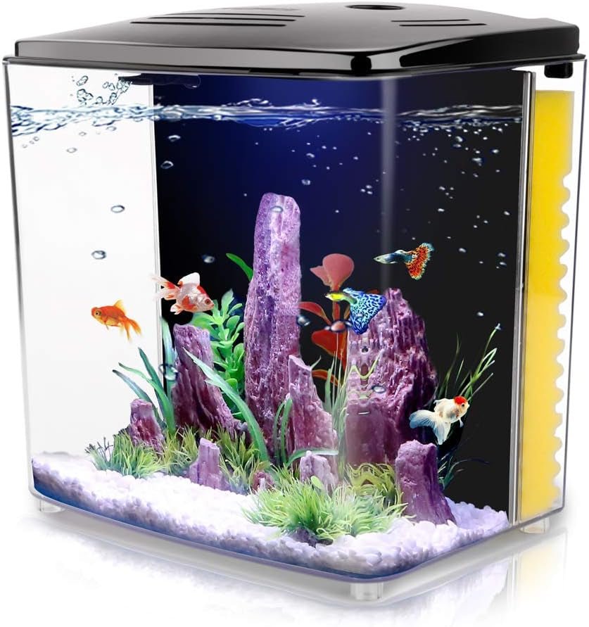 1.2 Gallon Betta Aquarium with LED Light and Filter Pump