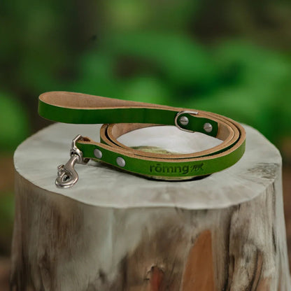 handmade leather dog leash