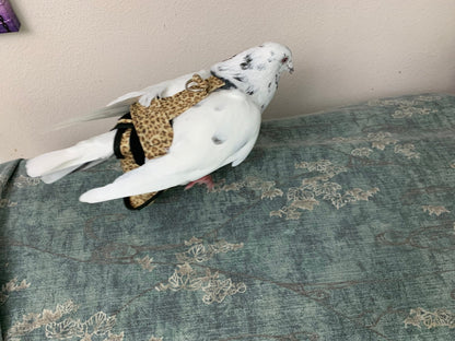 Hen Holster Chicken Diaper Harness with Permanent Sewn-in Liner (Duck Diaper, Goose Diaper, Parrot Diaper)