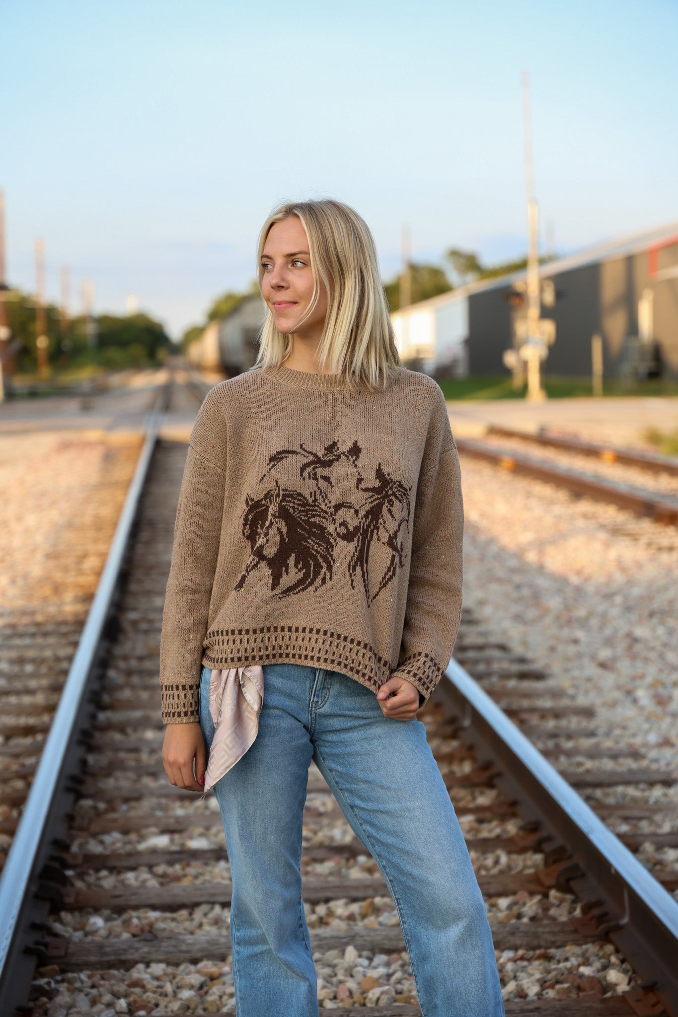 Horse Jacquard Long Long Sleeve Knit Sweater - charcoal medium remains