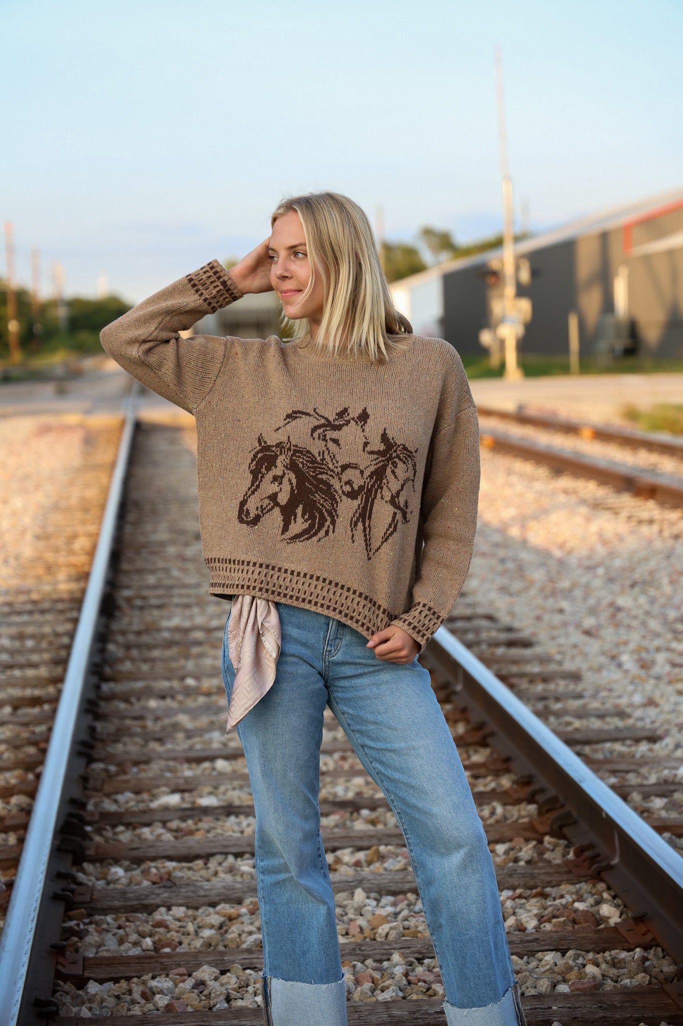 Horse Jacquard Long Long Sleeve Knit Sweater - charcoal medium remains