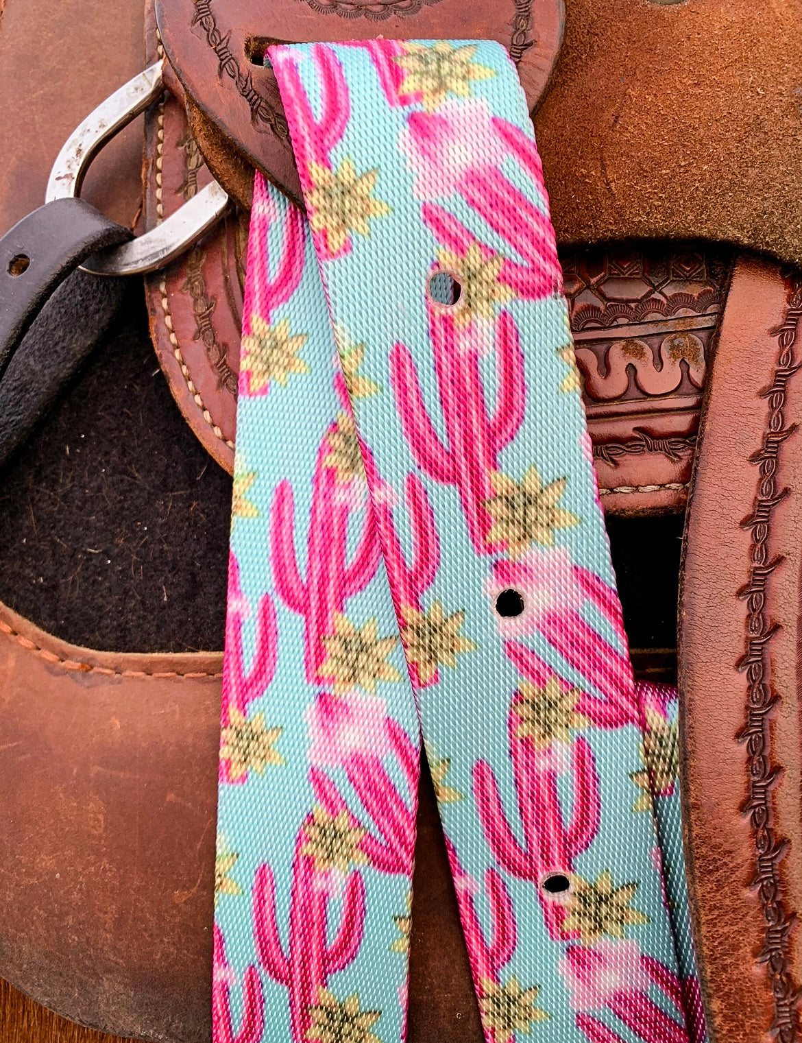 Pink Cactus Cinch Strap Set