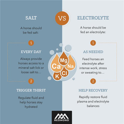 IsoBalance - Horse Electrolyte Paste
