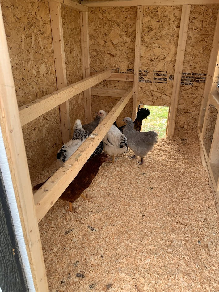Large Chicken Coop - Up to 15 Chickens