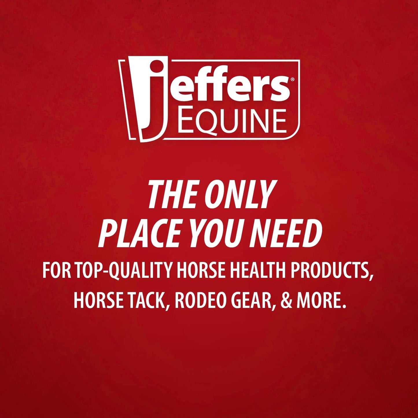 Jeffers Equine Menthol Cooling Shampoo for Horses