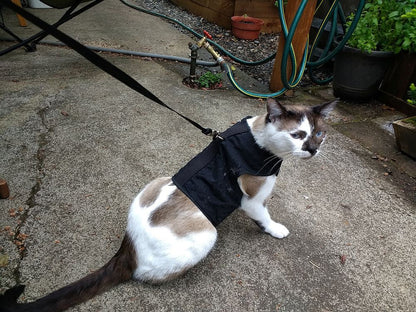 Kitty Holster Cat Harness (Made in USA)
