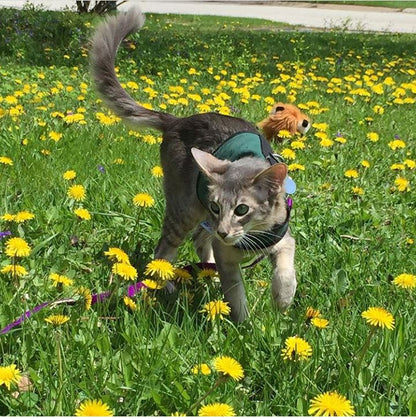 Kitty Holster Cat Harness (Made in USA)