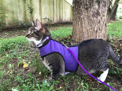 Kitty Holster Cat Harness (Made in USA)