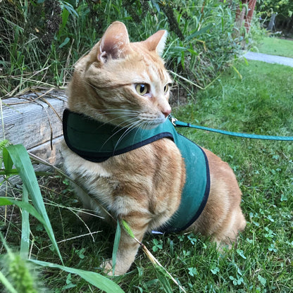 Kitty Holster Cat Harness (Made in USA)