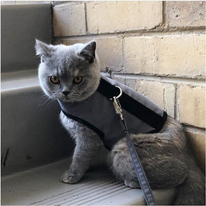 Kitty Holster Cat Harness (Made in USA)
