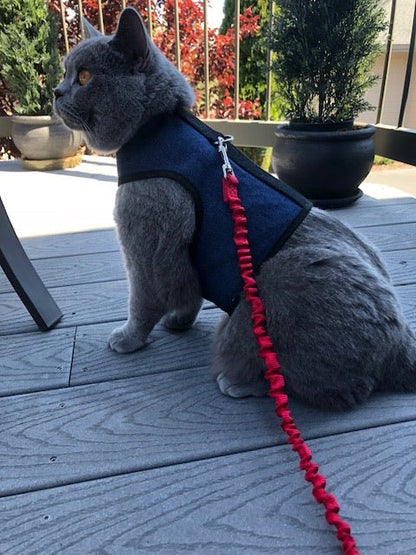Kitty Holster Cat Harness (Made in USA)