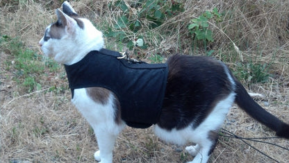Kitty Holster Cat Harness (Made in USA)