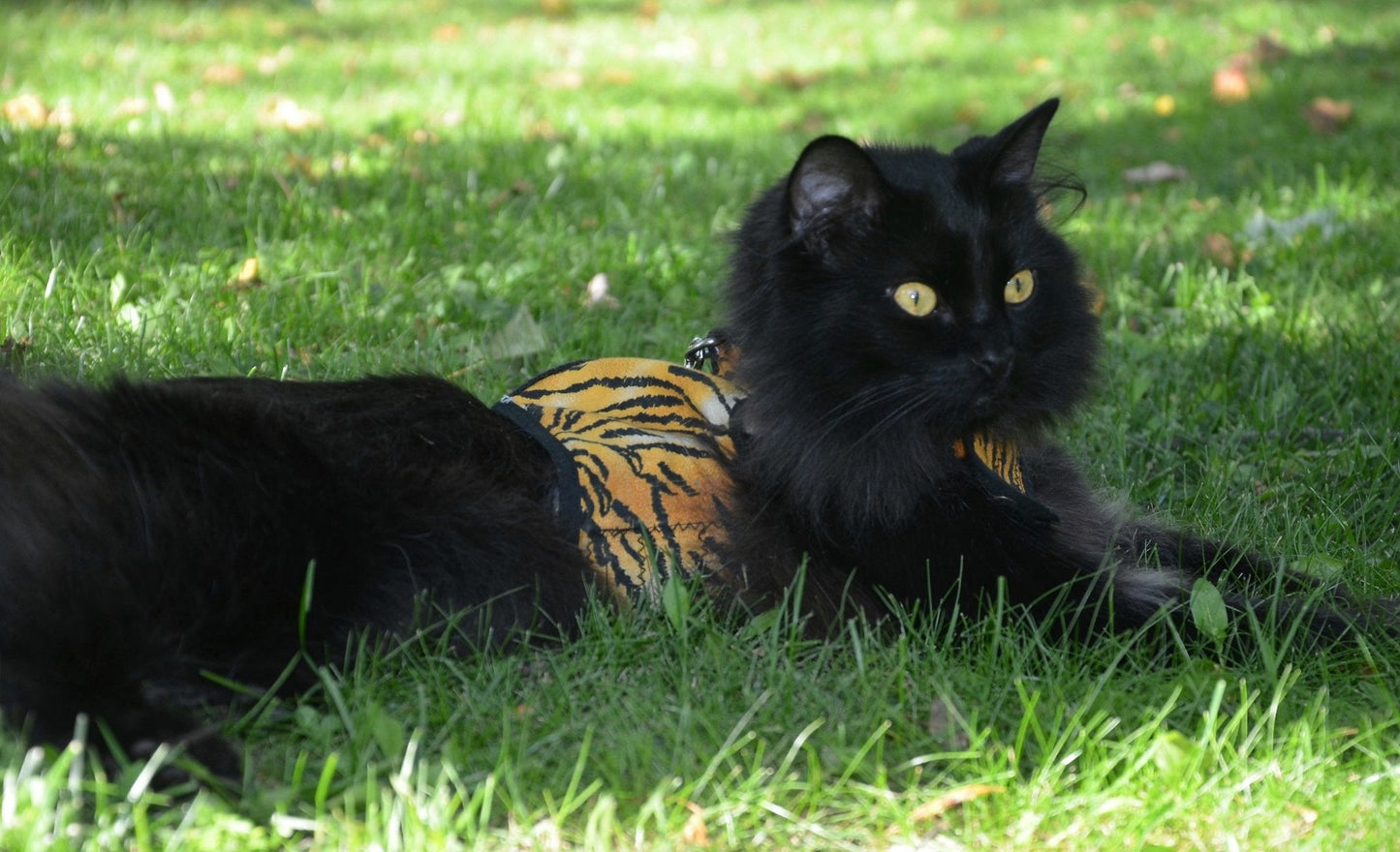 Kitty Holster Cat Harness (Made in USA)