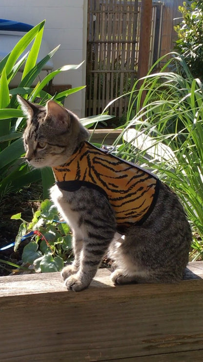 Kitty Holster Cat Harness (Made in USA)