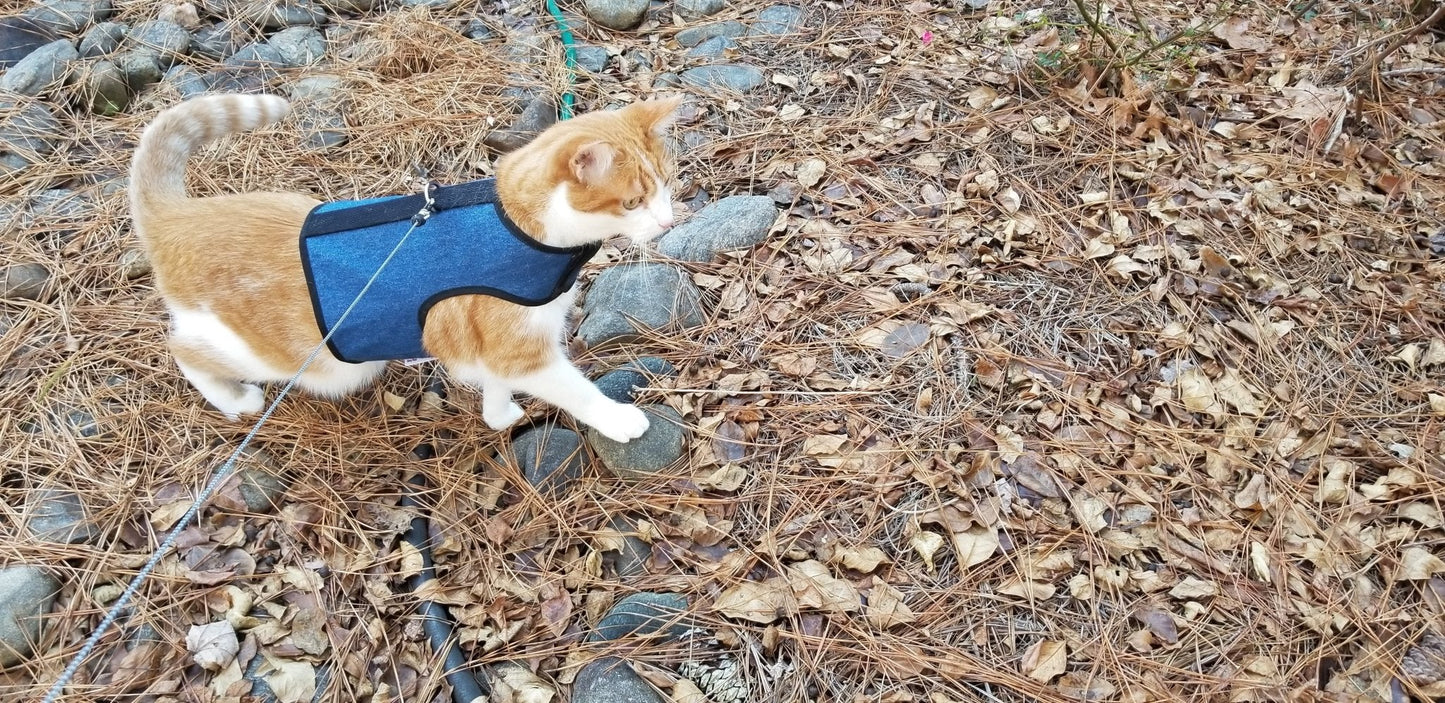 Kitty Holster Cat Harness (Made in USA)