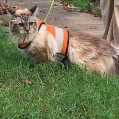 Kitty Holster Cat Harness (Made in USA Reflective Safety Harness)