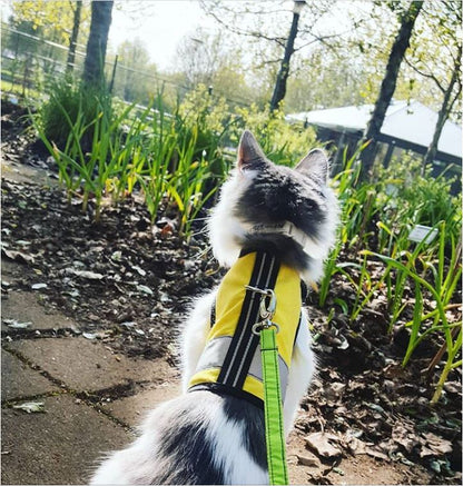 Kitty Holster Cat Harness (Made in USA Reflective Safety Harness)