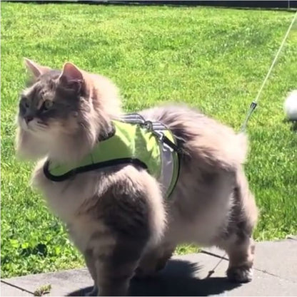 Kitty Holster Cat Harness (Made in USA Reflective Safety Harness)