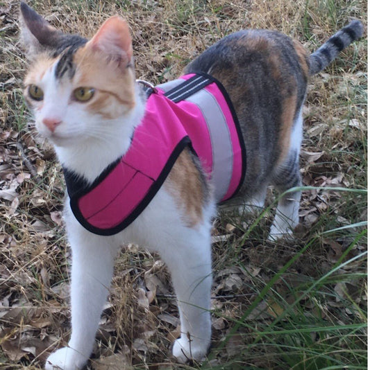 Kitty Holster Cat Harness (Made in USA Reflective Safety Harness)