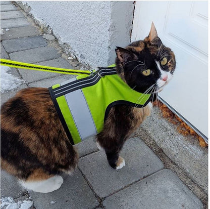Kitty Holster Cat Harness (Made in USA Reflective Safety Harness)
